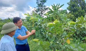 Những cú huých thu hẹp khoảng cách vùng miền