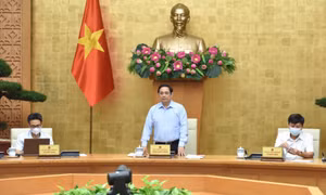 Đẩy nhanh tiến độ, nâng cao hiệu quả và chất lượng công tác quy hoạch