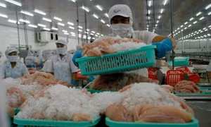 Đề xuất giảm tiền điện cho doanh nghiệp chế biến thủy sản 6 tháng cuối năm