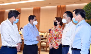 Xây dựng Nghị quyết của Chính phủ về hỗ trợ DN trong bối cảnh đại dịch COVID-19