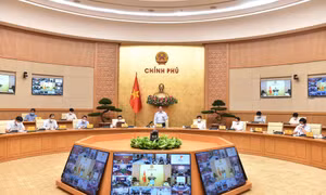 Quy hoạch phải bám sát tiềm năng khác biệt, cơ hội nổi trội, lợi thế cạnh tranh của bộ, ngành, địa phương