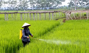 Tập trung bình ổn giá vật tư nông nghiệp