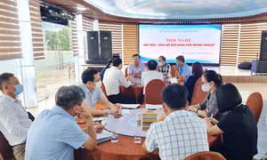 Tháo gỡ khó khăn cho các doanh nghiệp sản xuất vật liệu xây dựng tại TX Đông Triều
