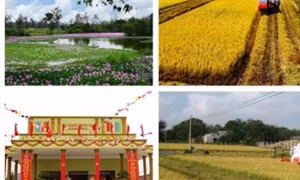 Bố trí hơn 196.000 tỷ đồng thực hiện Chương trình MTQG xây dựng nông thôn mới