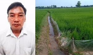 Dùng bẫy điện giết chuột, làm chết người cùng thôn