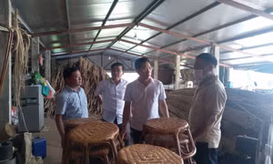 Xây dựng mô hình sản xuất nông sản an toàn, liên kết tiêu thụ sản phẩm