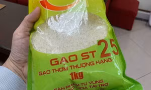 Gạo ST25 bắt đầu khan hàng tại Mỹ