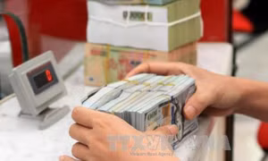 Tỷ giá trung tâm sáng 3/8 giảm 4 đồng