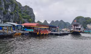 Hải Phòng: Giải tỏa lồng bè trên các vịnh thuộc quần đảo Cát Bà, hàng nghìn tấn thủy sản chờ tiêu thụ gấp