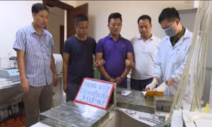 Đấu tranh với tội phạm ma túy - Cuộc chiến không ngừng