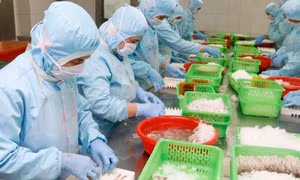 Công suất chế biến thủy sản tụt 30-40% do giãn cách