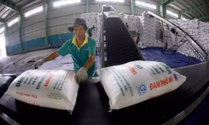 Xuất khẩu không phải là nguyên nhân khiến phân bón trong nước đội giá