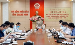 Thẩm tra báo cáo, dự thảo nghị quyết lĩnh vực kinh tế - ngân sách