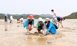 Dự án Du lịch sinh thái cộng đồng ở Quan Lạn: Vì sao chưa thể hiện thực hoá?