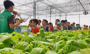 Du lịch nông nghiệp tạo thêm sức sống cho ngoại thành Hà Nội