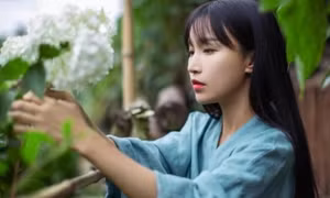 Lý Tử Thất ngừng đăng video đồng quê