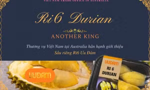 Sầu riêng Ri6 Việt Nam "cháy hàng" tại Australia
