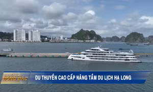 Du thuyền cao cấp nâng tầm du lịch Hạ Long