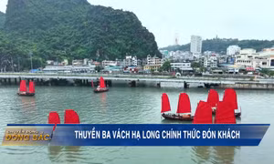 Thuyền ba vách Hạ Long chính thức đón khách