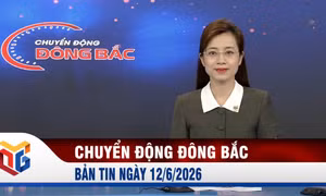 Chuyển động Đông Bắc ngày 12/6/2026