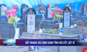 Đẩy nhanh xác định danh tính hài cốt liệt sĩ