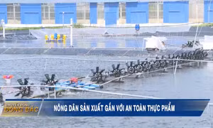 Nông dân sản xuất gắn với an toàn thực phẩm