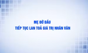 "Mẹ đỡ đầu" tiếp tục lan tỏa giá trị nhân văn
