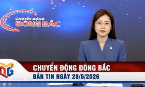 Chuyển động Đông Bắc ngày 28/6/2026
