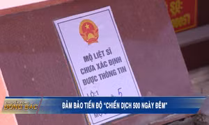Đảm bảo tiến độ "Chiến dịch 500 ngày đêm"