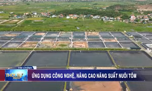 Ứng dụng công nghệ, nâng cao năng suất nuôi tôm