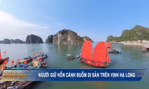 Người giữ hồn cánh buồm di sản trên Vịnh Hạ Long