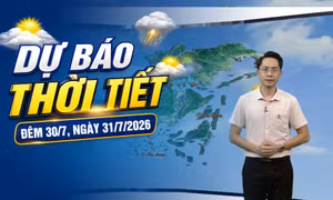  Dự báo thời tiết đêm 30, ngày 31/7/2026