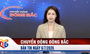 Chuyển động Đông Bắc ngày 6/7/2026