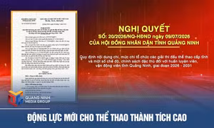 Động lực mới cho thể thao thành tích cao