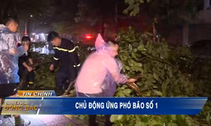 Quảng Ninh chủ động ứng phó bão số 1