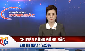 Chuyển động Đông Bắc ngày 1/7/2026