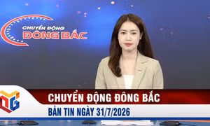 Chuyển động Đông Bắc ngày 31/7/2026