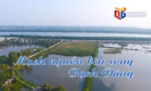 Mạch nguồn bên sông Bạch Đằng