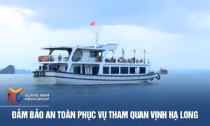 Đảm bảo an toàn phục vụ tham quan vịnh Hạ Long