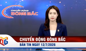 Chuyển động Đông Bắc ngày 12/7/2026