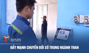 Đẩy mạnh chuyển đổi số trong ngành Than