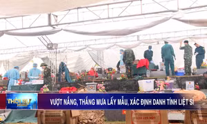 Vượt nắng, thắng mưa lấy mẫu, xác định danh tính liệt sĩ