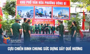 Cựu chiến binh chung sức dựng xây quê hương
