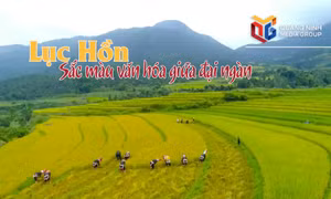Lục Hồn - Sắc màu văn hóa giữa đại ngàn