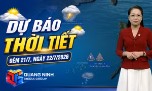 Dự báo thời tiết đêm 21/7, ngày 22/7/2026