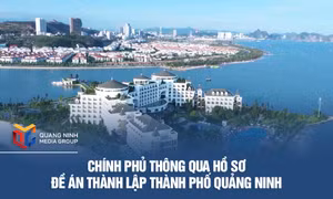 Chính phủ thông qua hồ sơ Đề án thành lập thành phố Quảng Ninh