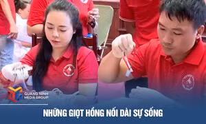Những giọt hồng nối dài sự sống