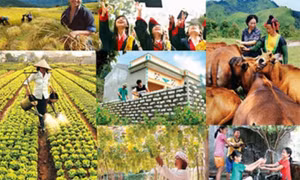 Triển khai quyết liệt, hiệu quả các chương trình mục tiêu quốc gia, đẩy nhanh tiến độ giải ngân vốn