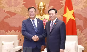 'Hàn Quốc là đối tác kinh tế quan trọng hàng đầu của Việt Nam'