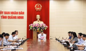 UBND tỉnh nghe và cho ý kiến về quy hoạch, quản lý chợ
